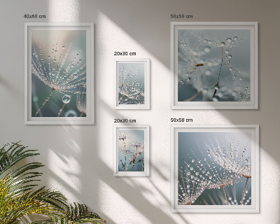 Sieninė paveikslų galerija Minimalistiniai rasos lašai augalams