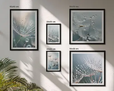 Sieninė paveikslų galerija minimalistiniai rasos lašai ant augalų