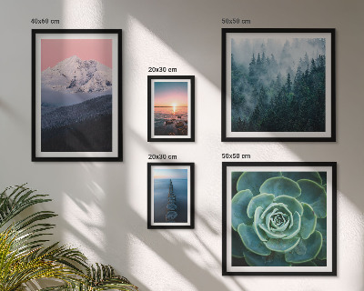 5 paveikslų rinkinys su rėmais Peizažai kalnai jūra boho