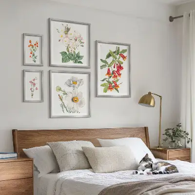 5 paveikslų rinkinys gėlių botanikos iliustracijos su rėmais