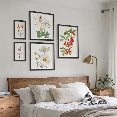 5 paveikslų rinkinys gėlių botanikos iliustracijos su rėmais