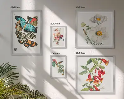 Sieninė paveikslų galerija su gėlių, drugelių ir paukščių vintažinėmis dekoracijomis