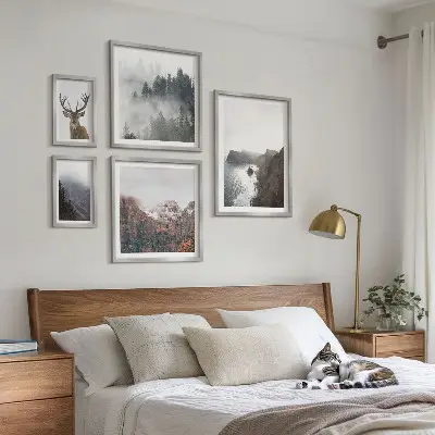Laukinės gamtos peizažai 5 paveikslų rinkinys su rėmais