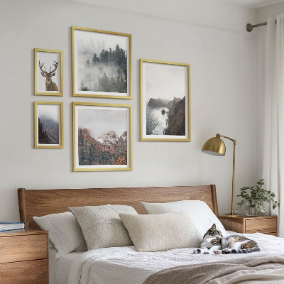 5 paveikslų rinkinys su rėmais Laukinės gamtos peizažai