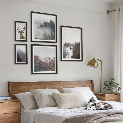 5 paveikslų rinkinys su rėmais Laukinės gamtos peizažai