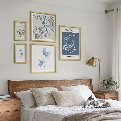 5 paveikslų rinkinys su rėmais Modernus abstraktus floristų stilius