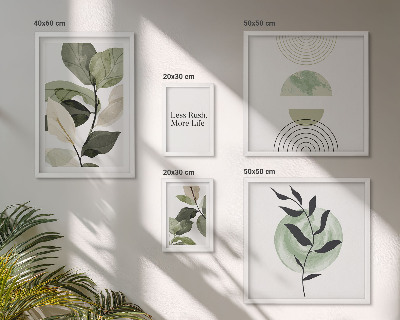 5 paveikslų rinkinys su rėmais Stilinga augalų interjero grafika