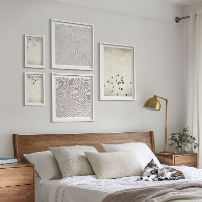5 paveikslų rinkinys su rėmais Minimalistinis paukščių piešinys