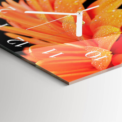 Kvadratinis stiklo laikrodis Gerbera