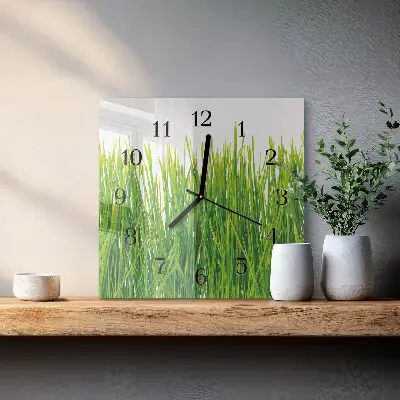 Kvadratinis sieninis laikrodis Žolė