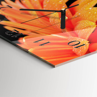 Kvadratinis sieninis laikrodis Gerbera