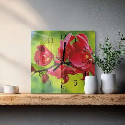 Kvadratinis sieninis laikrodis Orchidėja