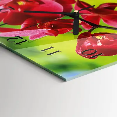 Kvadratinis sieninis laikrodis Orchidėja