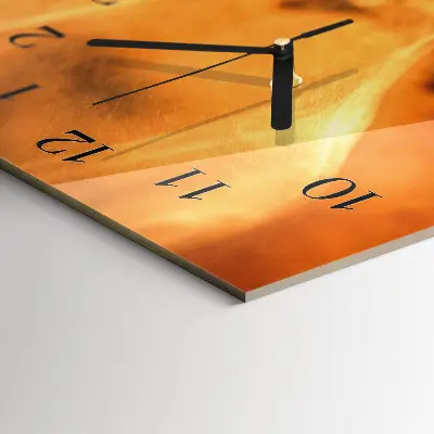 Vertikalus sieninis laikrodis Kofeino pupelės