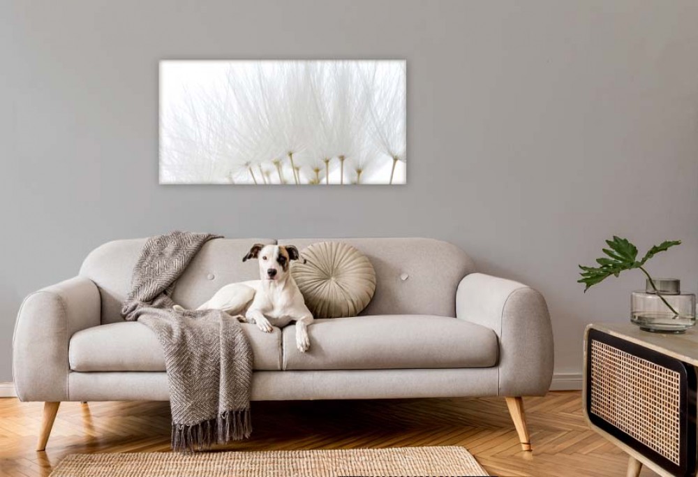 2026 metų interjero spalva